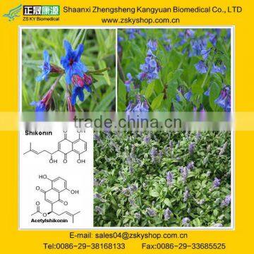 20%, 30% Shikonin Radix Arnebiae Extract from GMP manufacturer