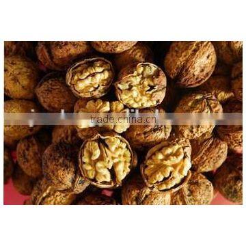 Organic Walnuts in Shell photo-2
