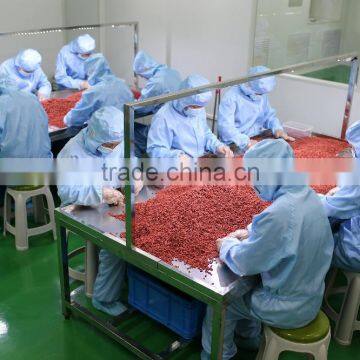 Dried Goji Berry photo-4