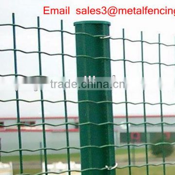 Best quality Holland wire mesh Euro fence(factory)