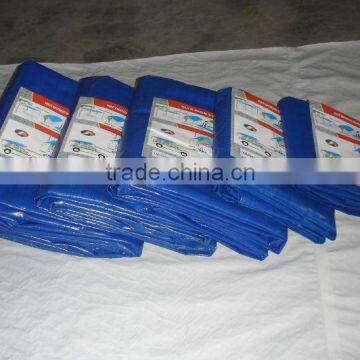 PE tarpaulin to Africa