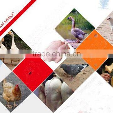 2016 Commercial Chicken Hair Removal Machine/poultry Feather Plucker Machine With One Year Guarantee photo-5