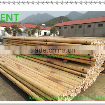 ZENT-133 natural cheap Moso Bamboo poles