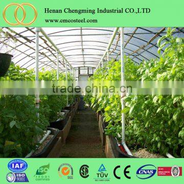 Vegetable Tunnel Greenhouse Corrugated Galvanized Steel Pipe Walk in Garden Greenhouse