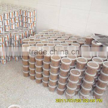 Dried and Freeze Dried Locusts photo-5