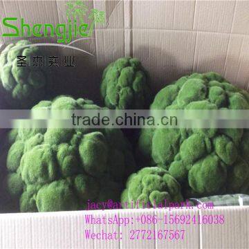 SJLJ01050 Decorative Artificial Moss Ball photo-4