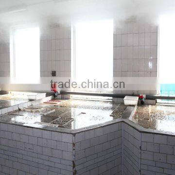 IN SHELL SHORT NECKED CLAM HAVE BRC photo-2