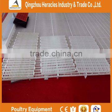 Automatic Broiler Poultry Farm Feeding and Drinking Systems & Chicken Poultry Farm Equipment photo-4