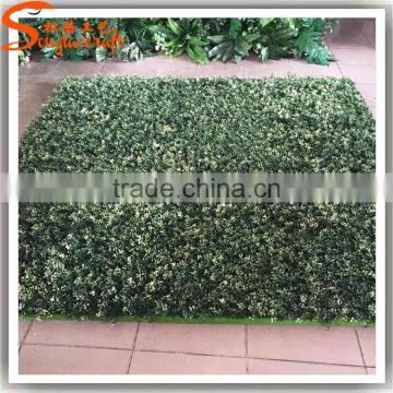 Wholesale Plastic Vertical Garden Green Wall Combination photo-6