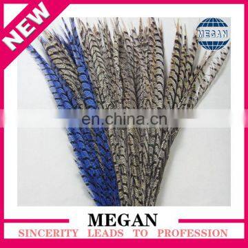 high quality loose pheasant feather