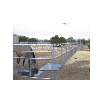 Welded Wire Horse Panels photo-2