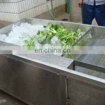 Popular Good Price for Commercial Vegetable Washing Equipment