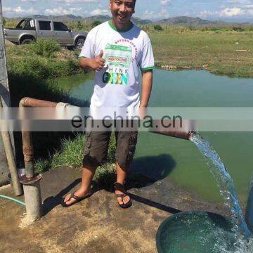 4LSC dc Submersible Water Pump 100 Meter Head Solar System in Sri Lanka photo-7