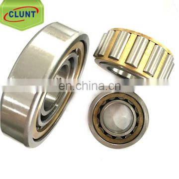 OEM Service Brand Cylindrical Roller Bearings NJ208EM Bearing