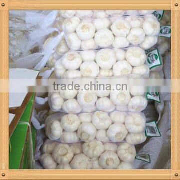 2016 New Crop Fresh Garlic in 10kg Mesh Bag and Carton China Export Garlic photo-3