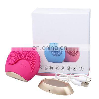 Rechargeable Silicone Cleansing Brushes For The Face Electronic Face Sonic Cleansing Brush Skin Wash Machine