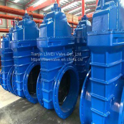 F4 3352 Ductile Iron Gate Valve