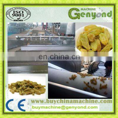 Industrial Raisin Cleaning and Sorting Line / Raisin Processing Machine photo-3