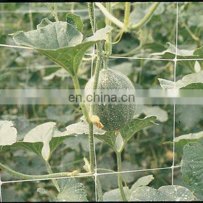 Trellis Net 48