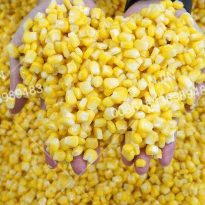Automatic Fresh Sweet Corn Threshing Machine Corn Kernel Separating Machine photo-5
