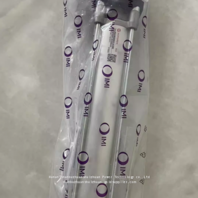 RA/802063/L4/250, Norgren, Profile Cylinder, G3/8' Thread photo-2