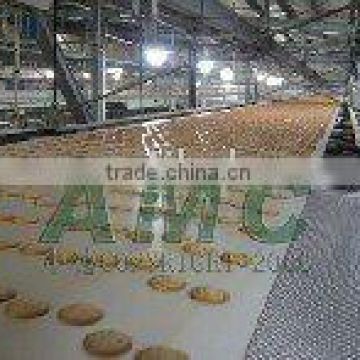 Food Conveyor System