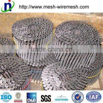 China Factory Common Nails/square Boat Nails/roofing Nails photo-2