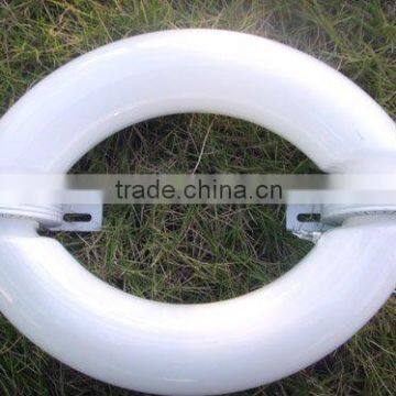 Elliptical Induction Lamp