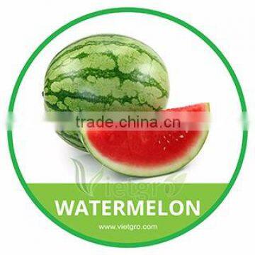 HIGH QUALITY FRESH RED WATERMELON