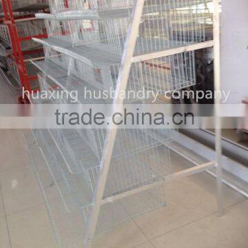 china new design best selling high quality wire mesh quail cage