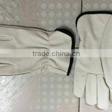 [Gold Supplier] HOT ! Cow grain leather driving gloves