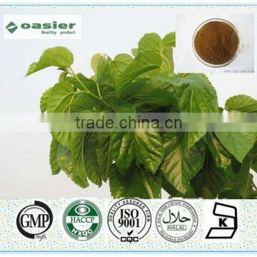 High Quality Mulberry leaf Extract Powder 1% DNJ