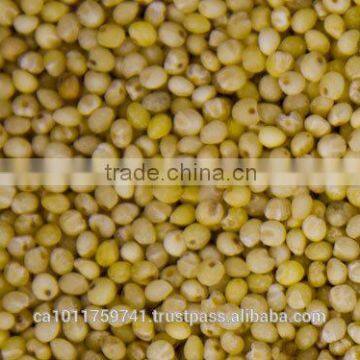 Hulled Millet