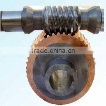 passenger hoist Worm wheel and Worm
