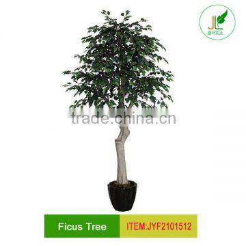 Real wood trunk artificial ficus tree