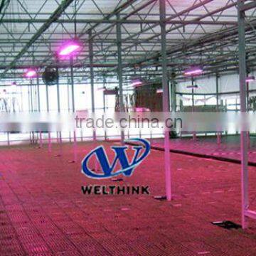 SINGLE 3w led light,150W,300W