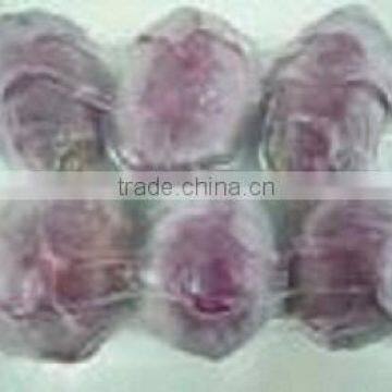 Vietnam Heathy Frozen Dragon Fruit