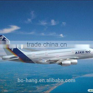 Sea Logistics Best Price From Shenzhen/Guangzhou/Hongkong to Melbourne --website :bhc-shipping004 photo-3