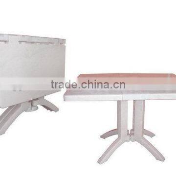 China Gold Supplier Hotsell Car Food Tray Table Mould