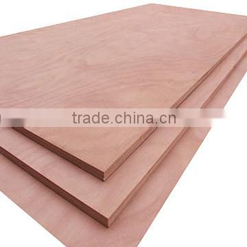 China (LINYI) Furniture Plywood / Commercial Plywood for Door