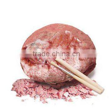 Dino Egg Dig Kits Dinosaur Baby Model photo-4