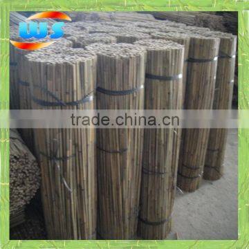 The orchard bamboo cane
