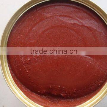 All Kinds of Canned Tomato Paste Sale photo-5