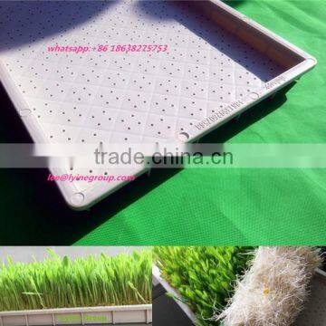 plastic sprouting tray, seed tray for barley/wheat sprout