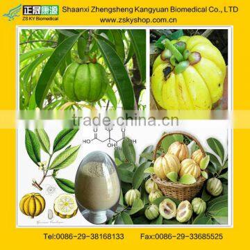 Pharmaceutical Garcinia Cambogia HCA