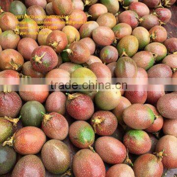 Fresh/frozen Passion Fruit photo-3