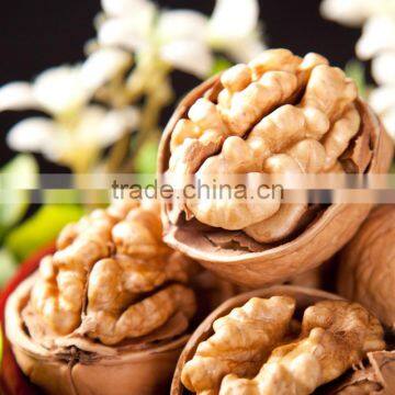 2015 New Crop Dried Thin Shell Xinjiang Origin Walnut in Shell