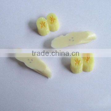 Factory direct sales imitation Fruit accessories/Banana spare parts