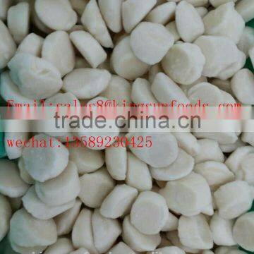 Frozen Sea Scallop with good quality