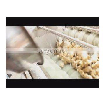 MIC Hot Sale MSTP-80 Potato Peeling Machine Fish Skin Peeler Machine photo-4